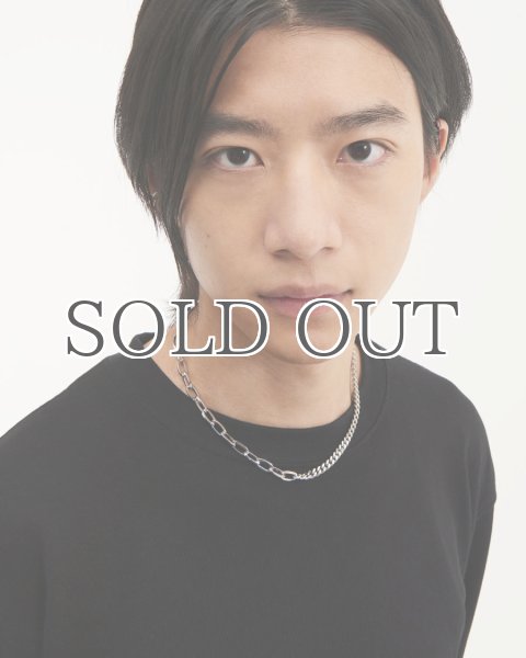 画像3: 【JUSTINE CLENQUET】Hari Choker  シルバーチェーンチョーカー (3)