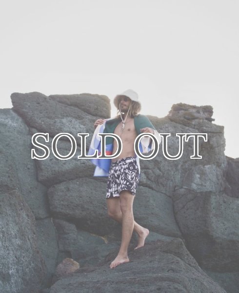 画像15: ARDE - COLORFULLAND Shorts / Swim Pants (15)