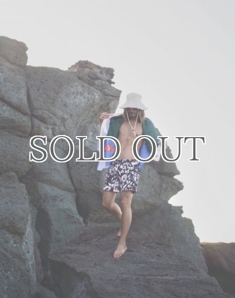 画像14: ARDE - COLORFULLAND Shorts / Swim Pants (14)