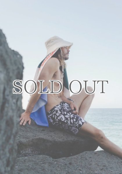 画像16: ARDE - COLORFULLAND Shorts / Swim Pants (16)