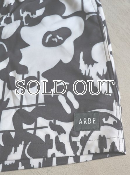 画像10: ARDE - COLORFULLAND Shorts / Swim Pants (10)