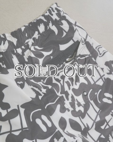 画像12: ARDE - COLORFULLAND Shorts / Swim Pants (12)