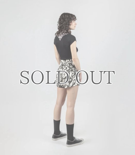 画像5: ARDE - COLORFULLAND Shorts / Swim Pants (5)