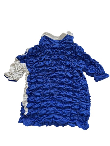 画像2: CELESTE BURGOYNE - THE RUCHED SPORTS TEE バブルスポーツTシャツ - BLUE x WHITE (2)