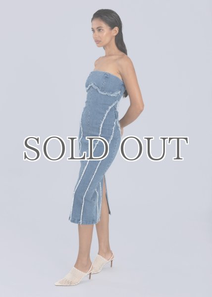 画像3: ESTHE - Denim Corset Dress  デニムコルセットチューブドレス - Blue Denim (3)
