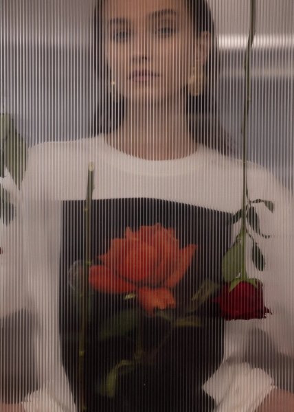 画像7: 【12月下旬発送】［ESTHE］Rose Print Cotton T-Shirt  -  WHITE (7)