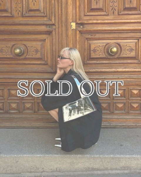 画像7: 【40%0FF】［GLYNIT］BROOKE ショルダーバッグ - SILVER (7)