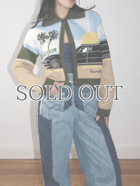 画像11: ［HOUSE OF SUNNY］Pretty Woman Tripper ジャガードニットカーディガン (11)