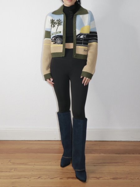 画像13: ［HOUSE OF SUNNY］Pretty Woman Tripper ジャガードニットカーディガン (13)