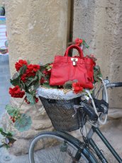 画像11: MEDEA - Nina Small Bag  - Red Leather (11)