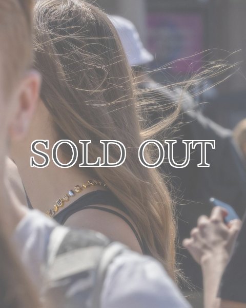 画像10: MEDEA  - The Erin Taylor Necklace ゴールドグリルズネックレス - Gold (10)