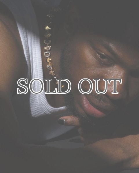 画像15: MEDEA  - The Erin Taylor Necklace ゴールドグリルズネックレス - Gold (15)