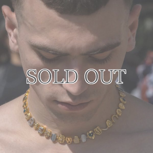 画像11: MEDEA  - The Erin Taylor Necklace ゴールドグリルズネックレス - Gold (11)